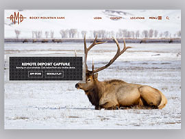 Digital Insight Rocky Mountain Bank